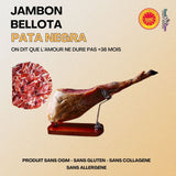 Jambon Bellota 36 Mois Pata Negra Ibérique AOP +9kg - SaucBack.Com